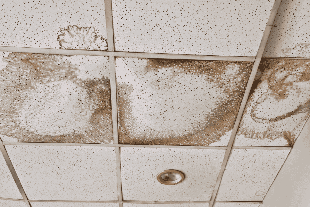 Humidity & Moisture Damage Roof Repair